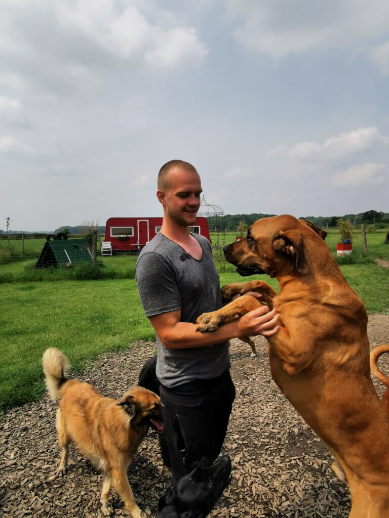 Mein Werdegang als Hundetrainer